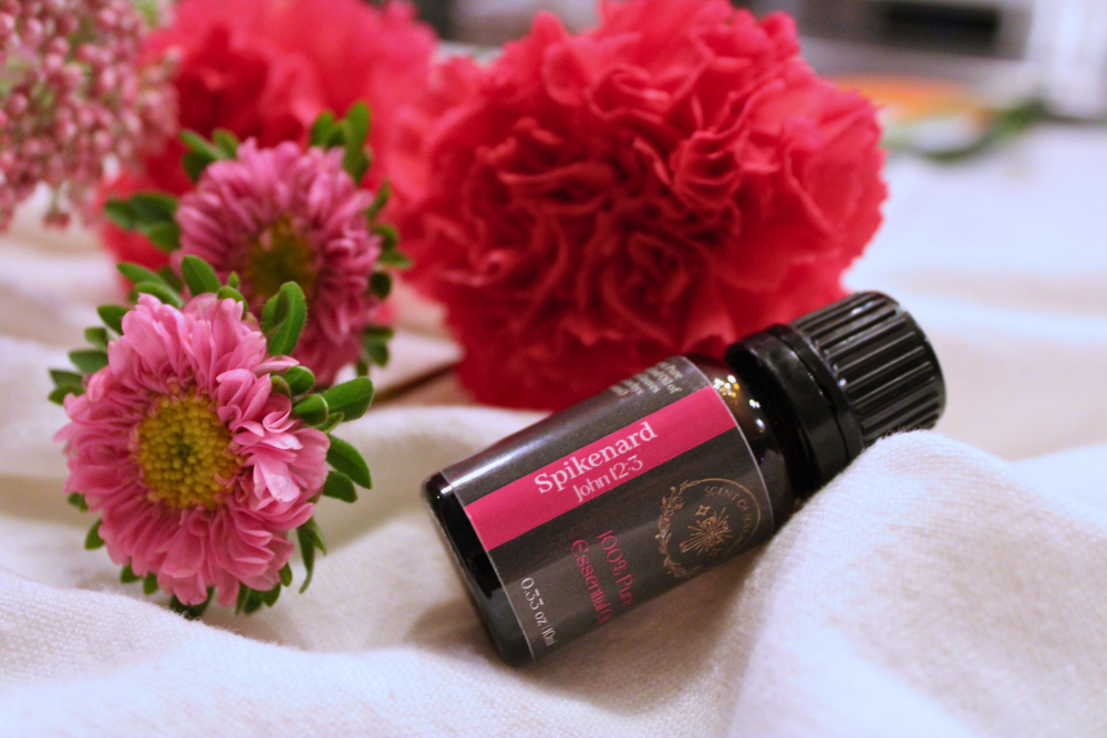 7.png__PID:860d5c56-136f-461e-b6a7-12c424ebbbde