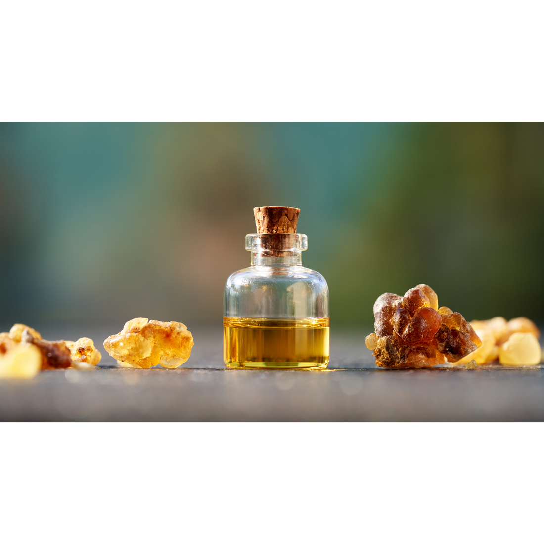 Guide to making homemade frankincense oil extract