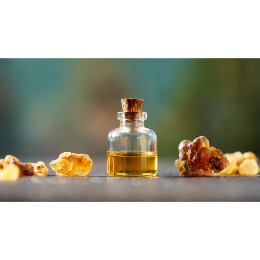 Guide to making homemade frankincense oil extract