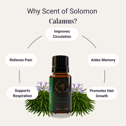 Rosemary Pure Essential Oil