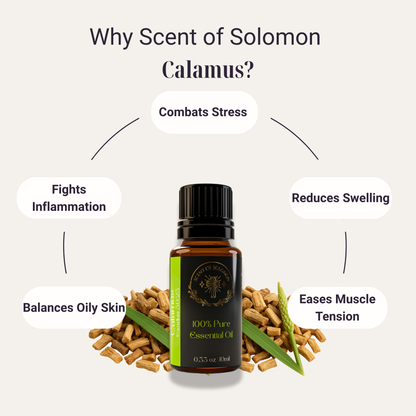 Calamus Pure Essential Oil