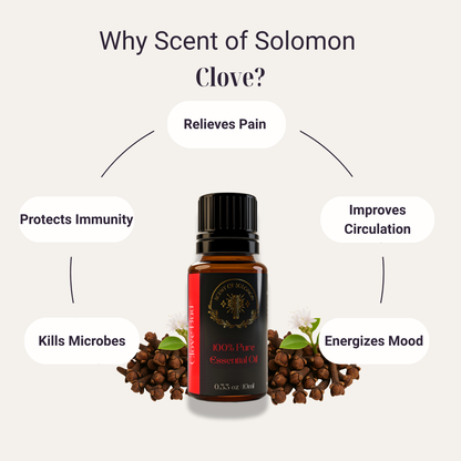 Clove Bud Pure Essential Oil