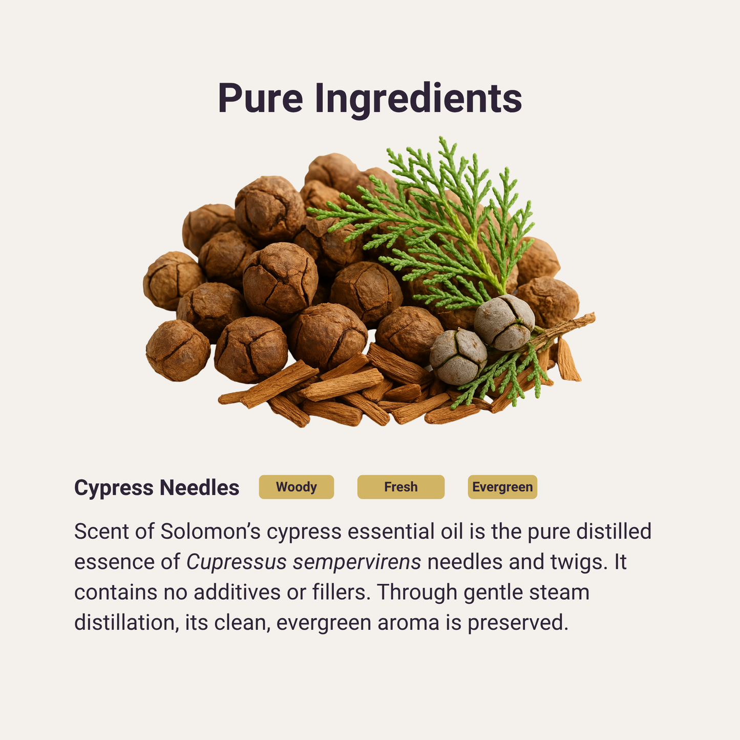 Cypress Pure Essential Oil