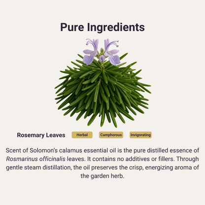 Rosemary Pure Essential Oil