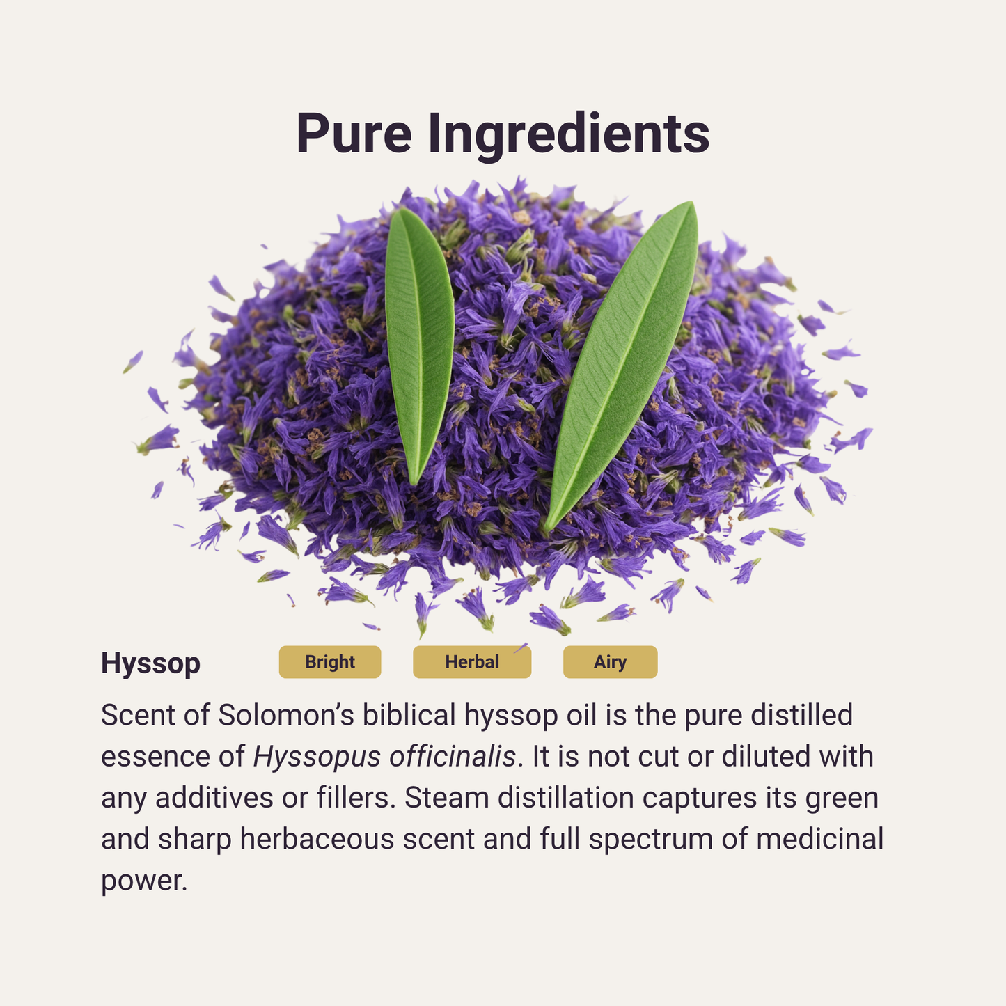 Hyssop Pure Essential Oil