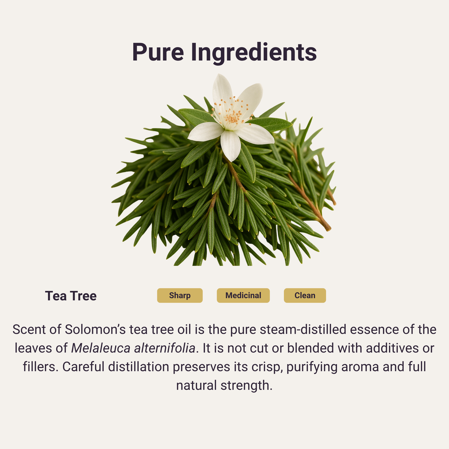 Tea Tree Pure Essential Oil