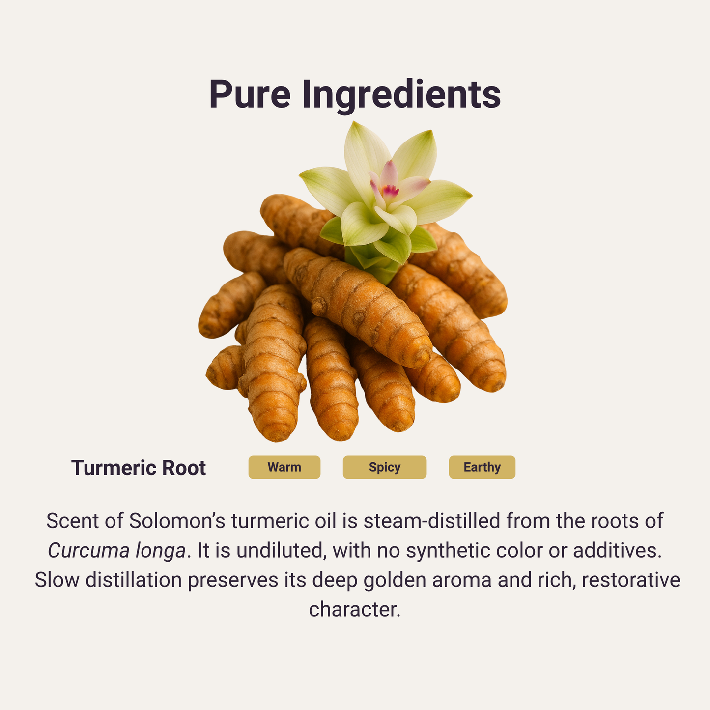 Turmeric Pure Essential Oil