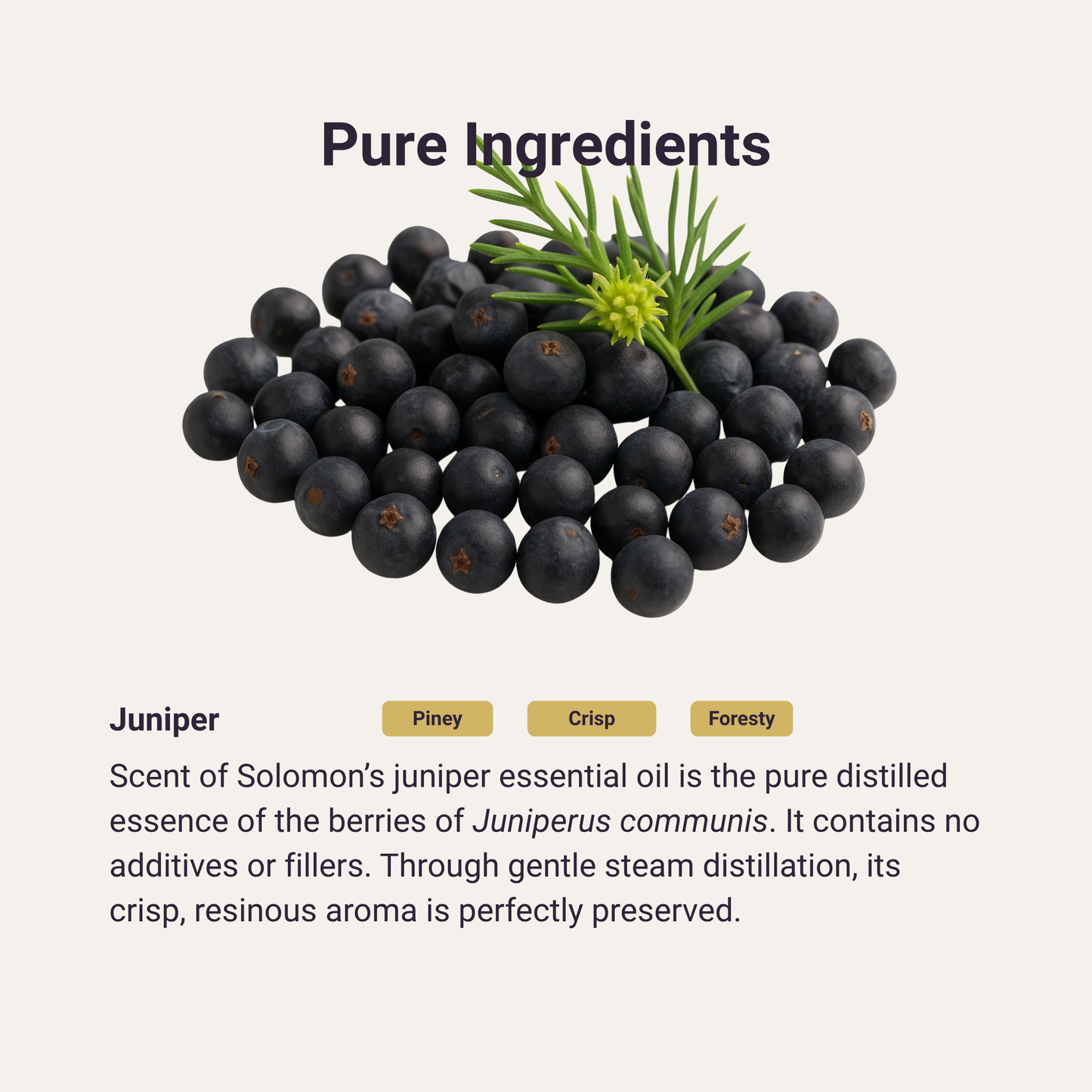 Juniper Pure Essential Oil