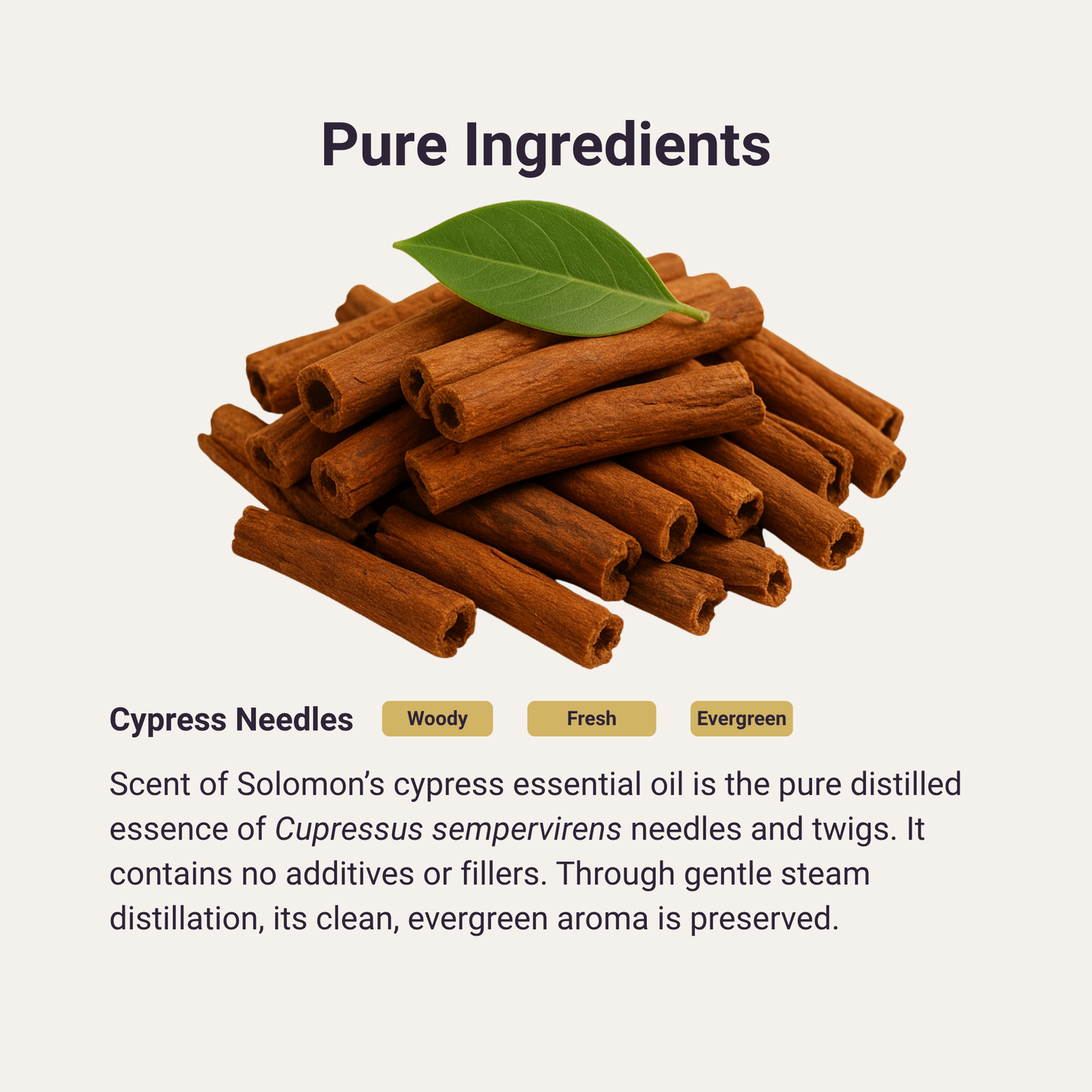 Cassia Pure Essential Oil