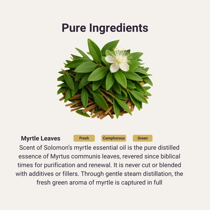 Myrtle Pure Essential Oil