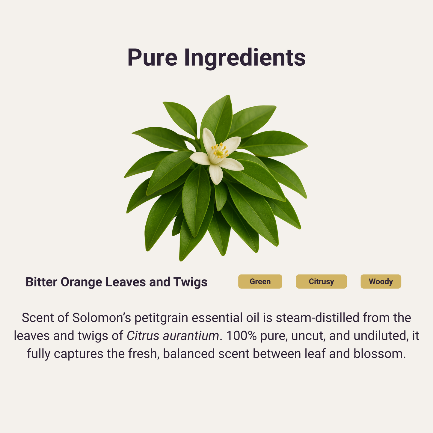 Petitgrain Pure Essential Oil