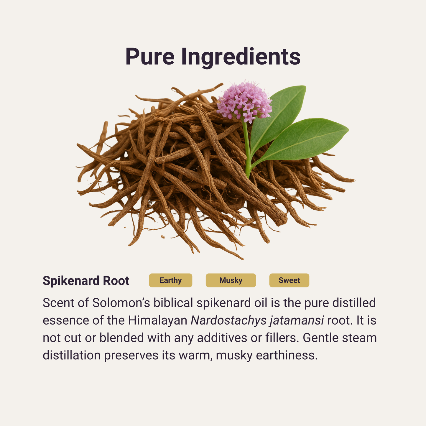 Spikenard Pure Essential Oil