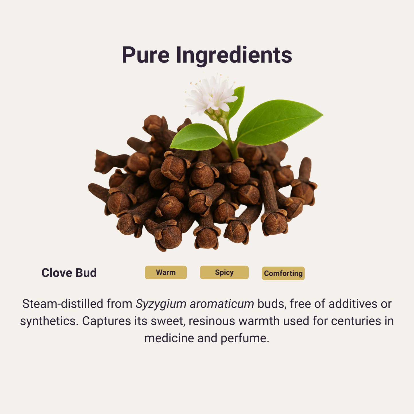 Clove Bud Pure Essential Oil