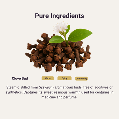 Clove Bud Pure Essential Oil