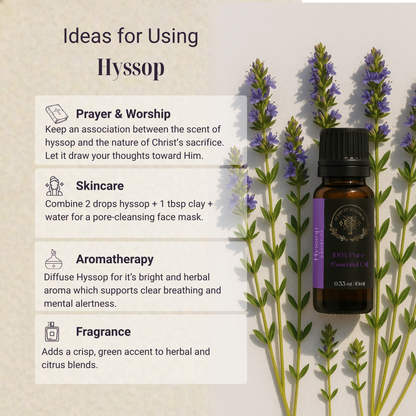 Hyssop Pure Essential Oil