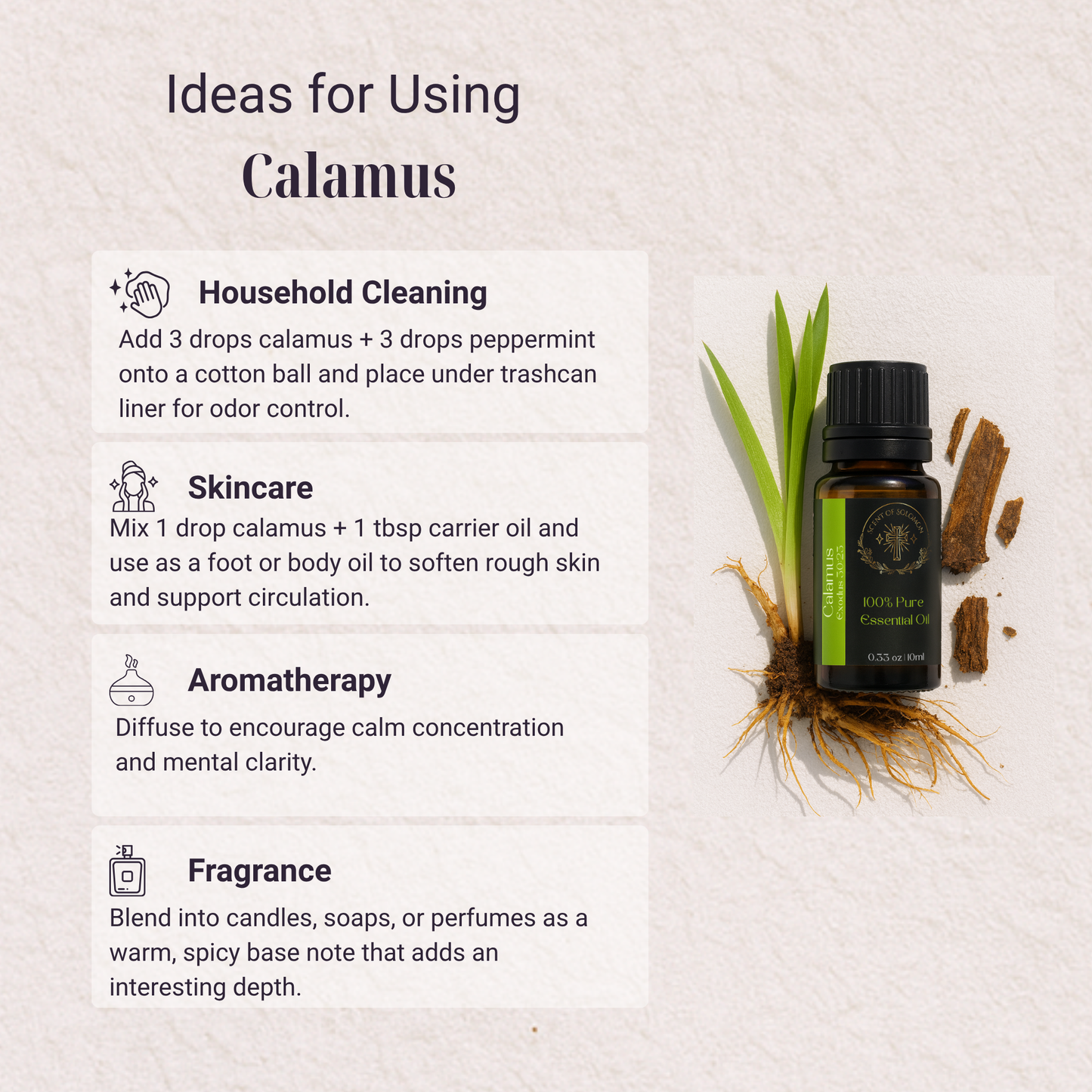 Calamus Pure Essential Oil