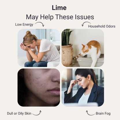 Lime Pure Essential Oil