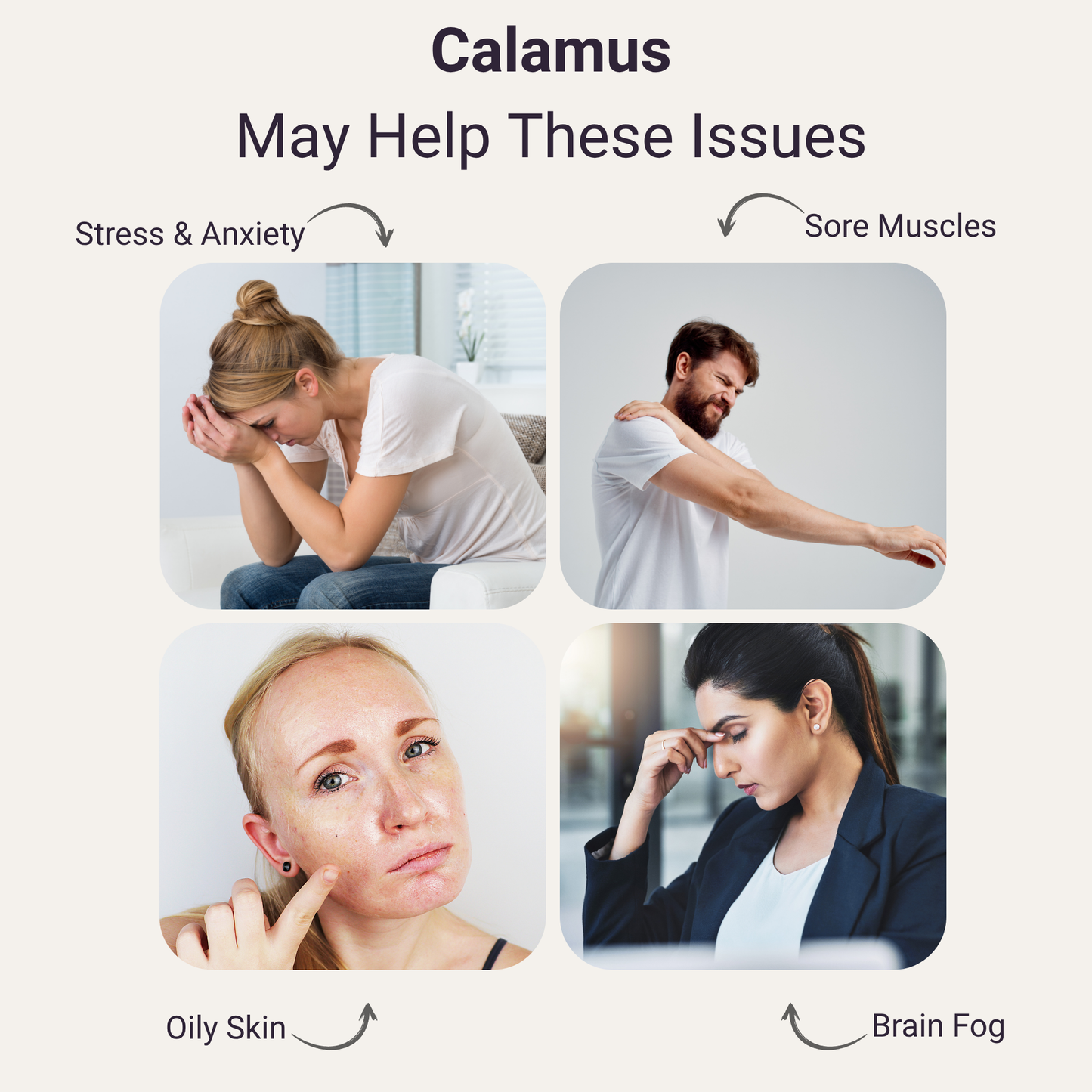 Calamus Pure Essential Oil