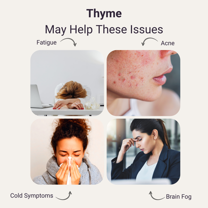 Thyme Pure Essential Oil