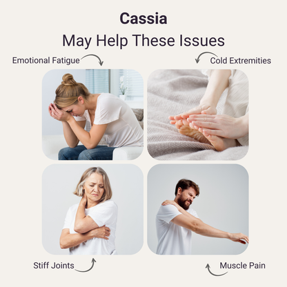 Cassia Pure Essential Oil