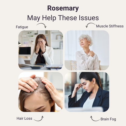 Rosemary Pure Essential Oil