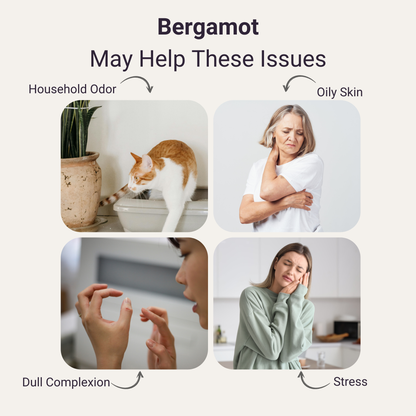 Bergamot Pure Essential Oil