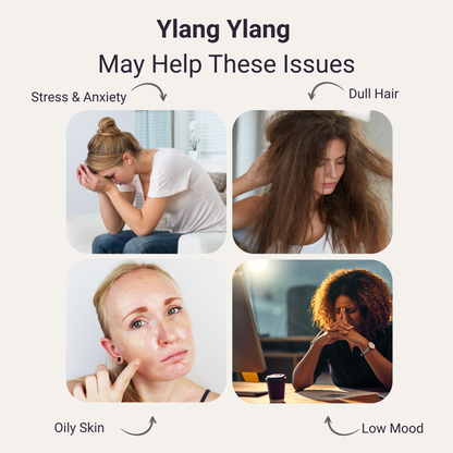 Ylang Ylang Pure Essential Oil