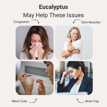 Eucalyptus Pure Essential Oil