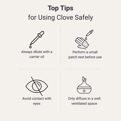 Clove Bud Pure Essential Oil