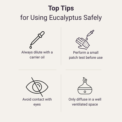 Eucalyptus Pure Essential Oil