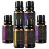 Six Oils of the Life of Jesus Christ 100% Pure Essential Oils Gift Set